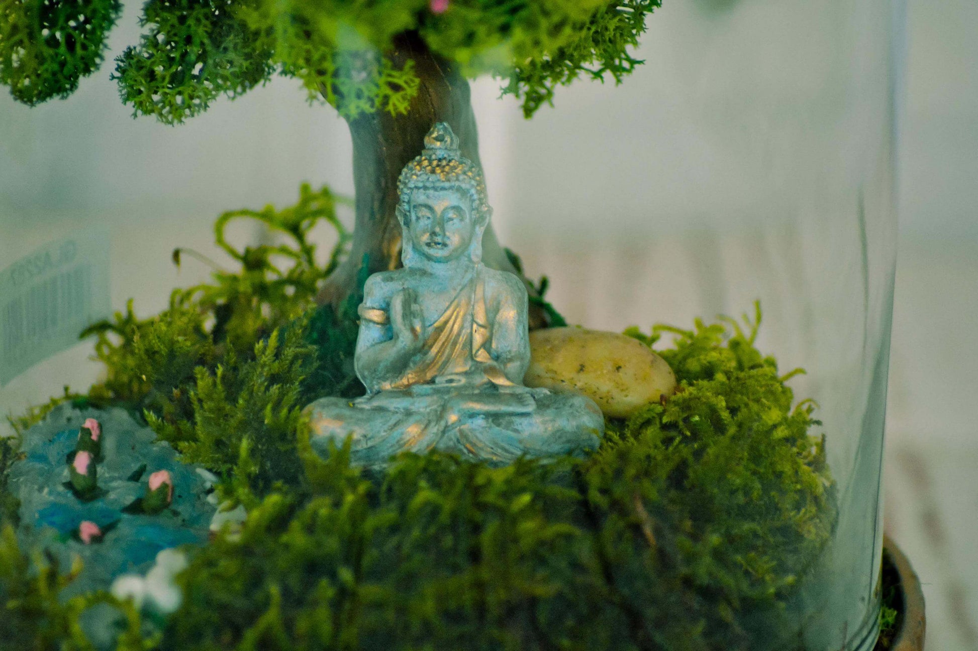 Standing Buddha Live Moss Terrarium