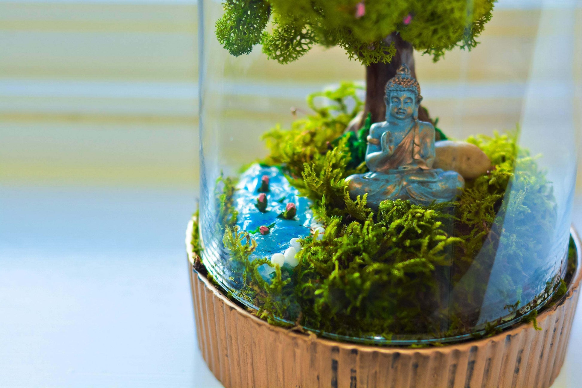 plant terrarium accessories Buddha Terrarium kit, Buddha gift