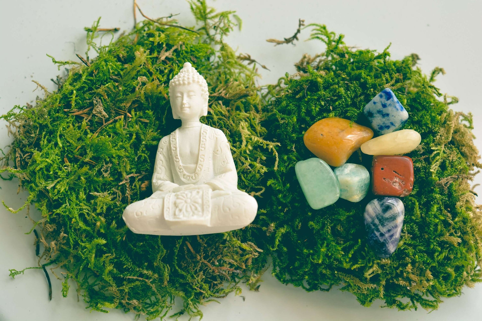 Five Color Moss Gratitude Buddha Terrarium