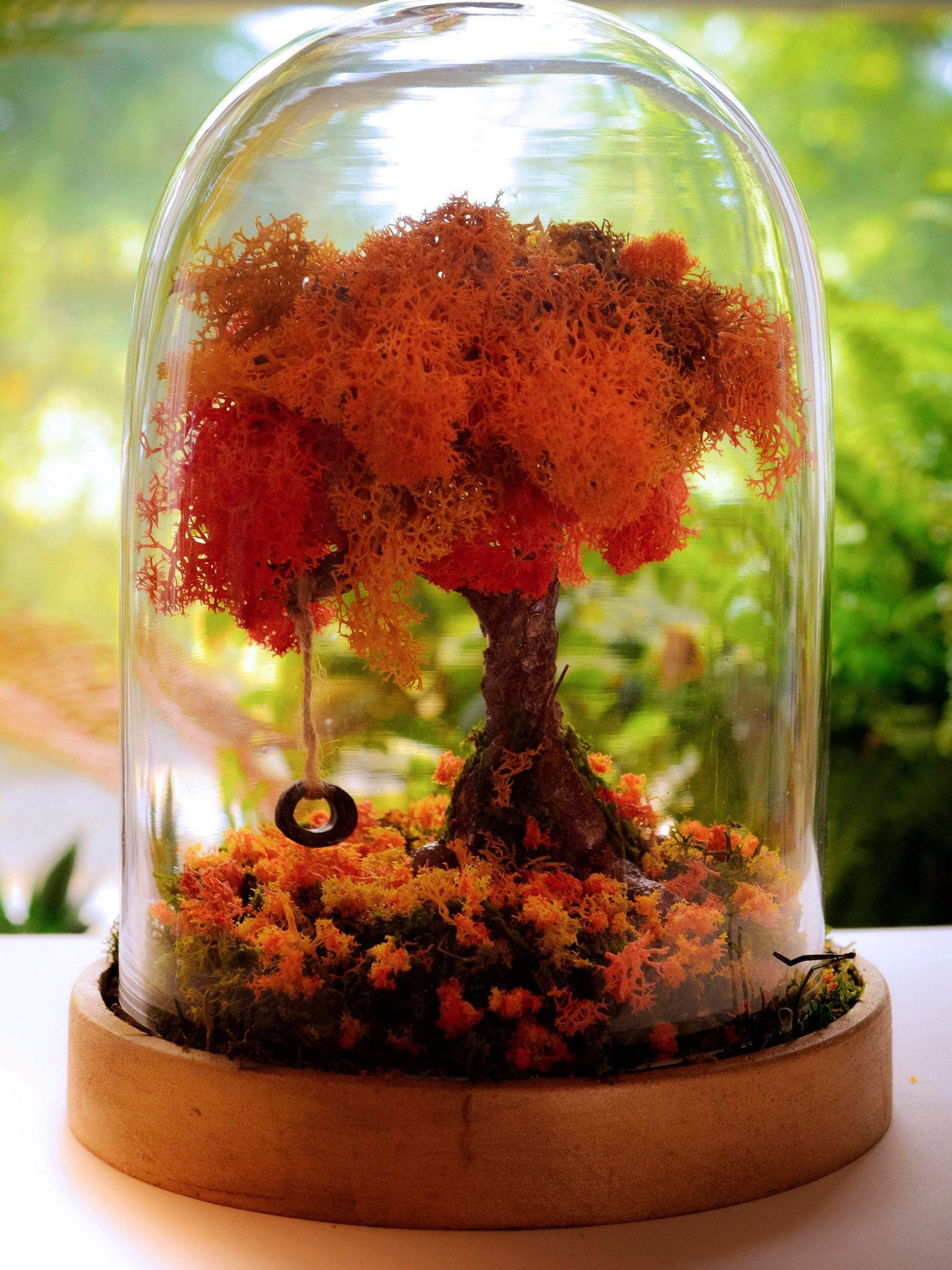 Terrarium kit  Fairy Garden DIY Kit with living Moss RishStudio