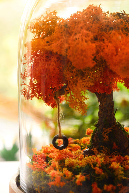 DIY: Autumn Glass Terrarium - Straw Flowers and Moss