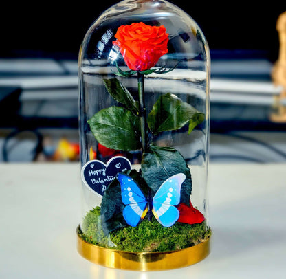 Preserved Rose, Beauty and the beast rose, Enchanted Rose, valentine gift RishStudio