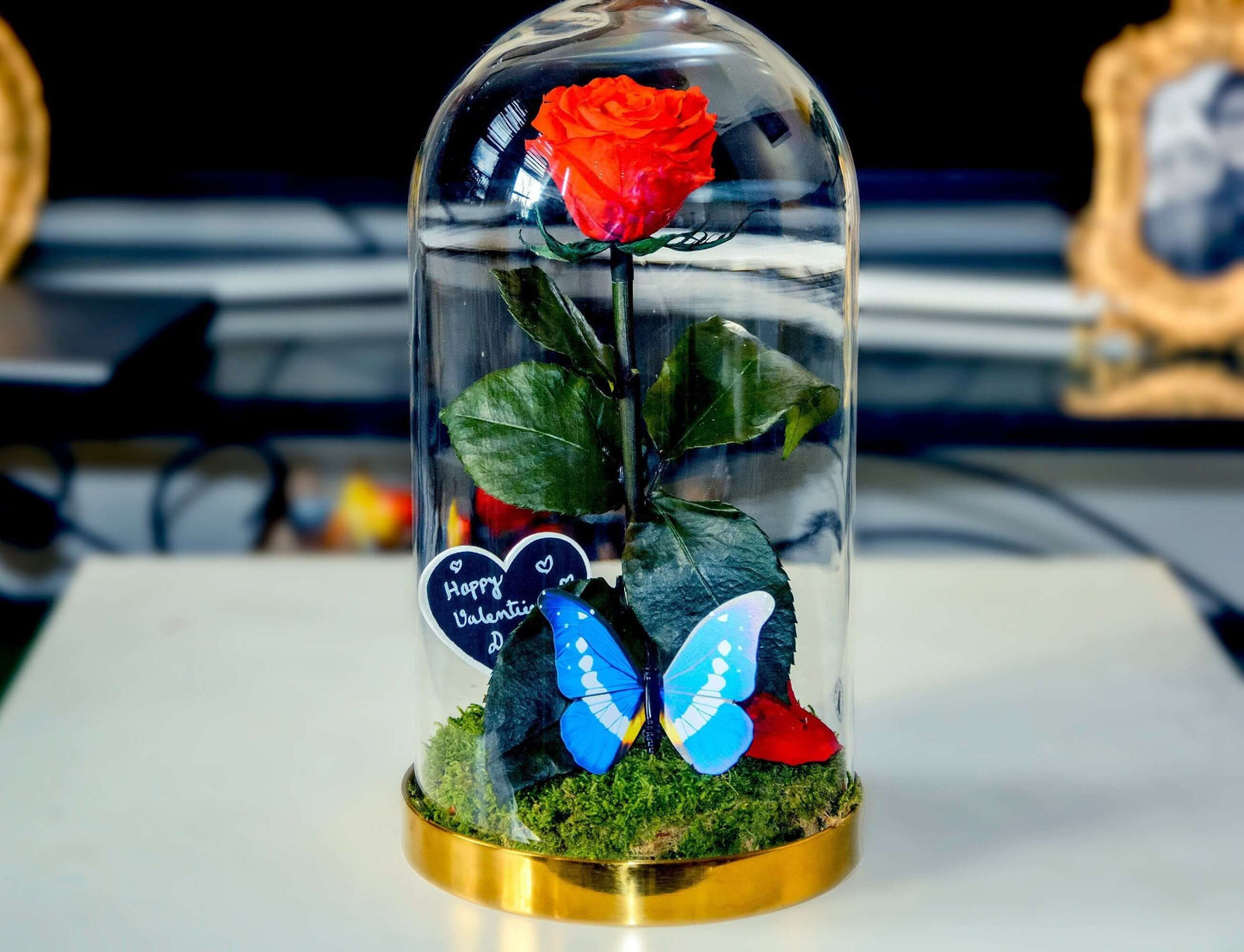 Preserved Rose, Beauty and the beast rose, Enchanted Rose, valentine gift RishStudio