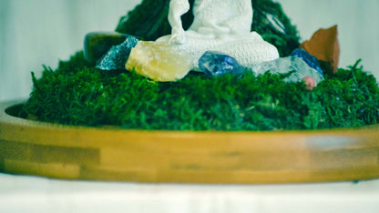 Terrarium kit with healing crystals | Buddha with 7 Chakra Stones set RishStudio