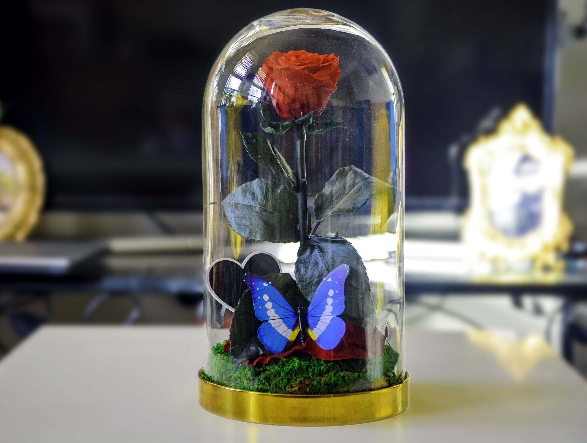 Preserved Rose, Beauty and the beast rose, Enchanted Rose, valentine gift RishStudio