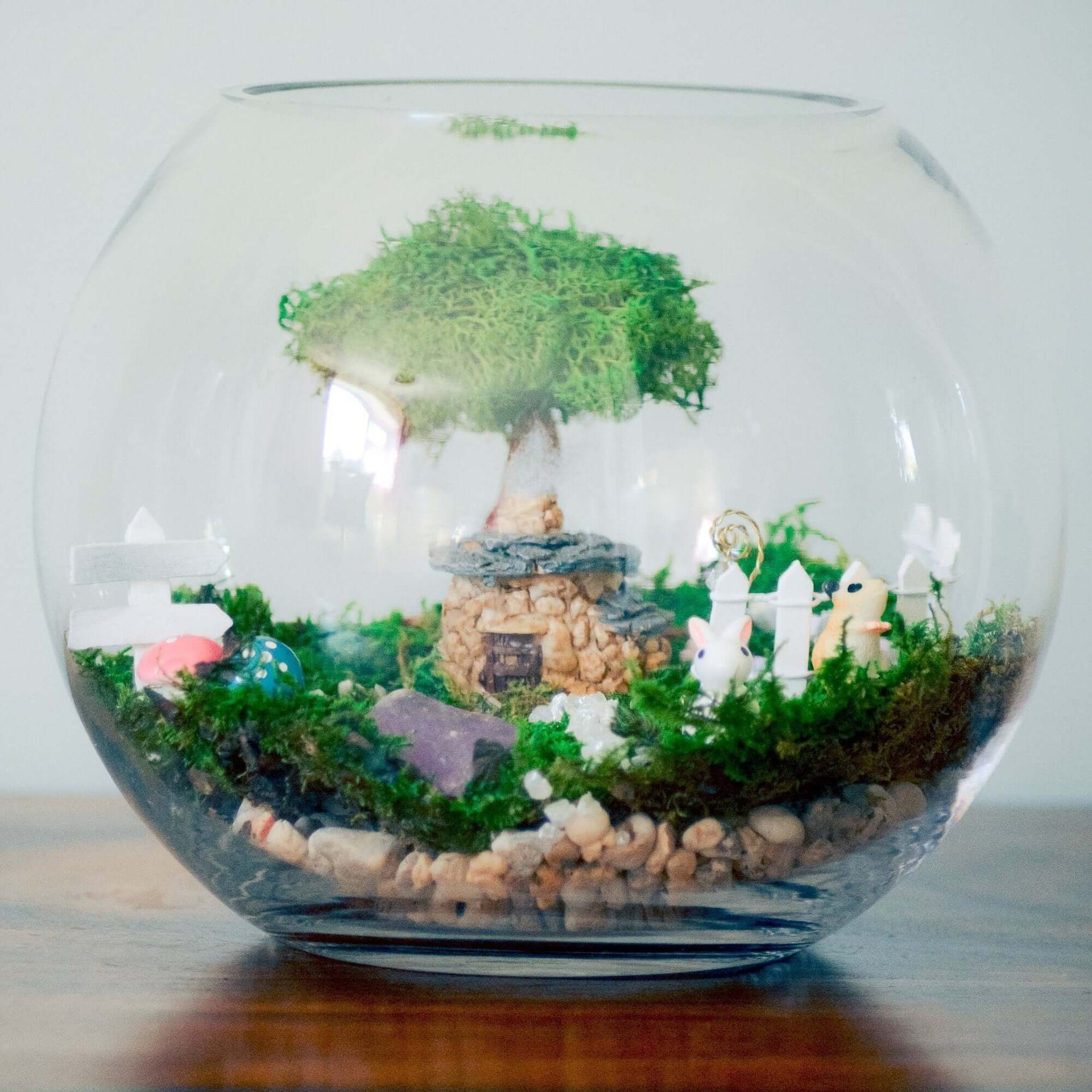 DIY terrarium kit with Birthstones, Fairy garden kit, RishStudio