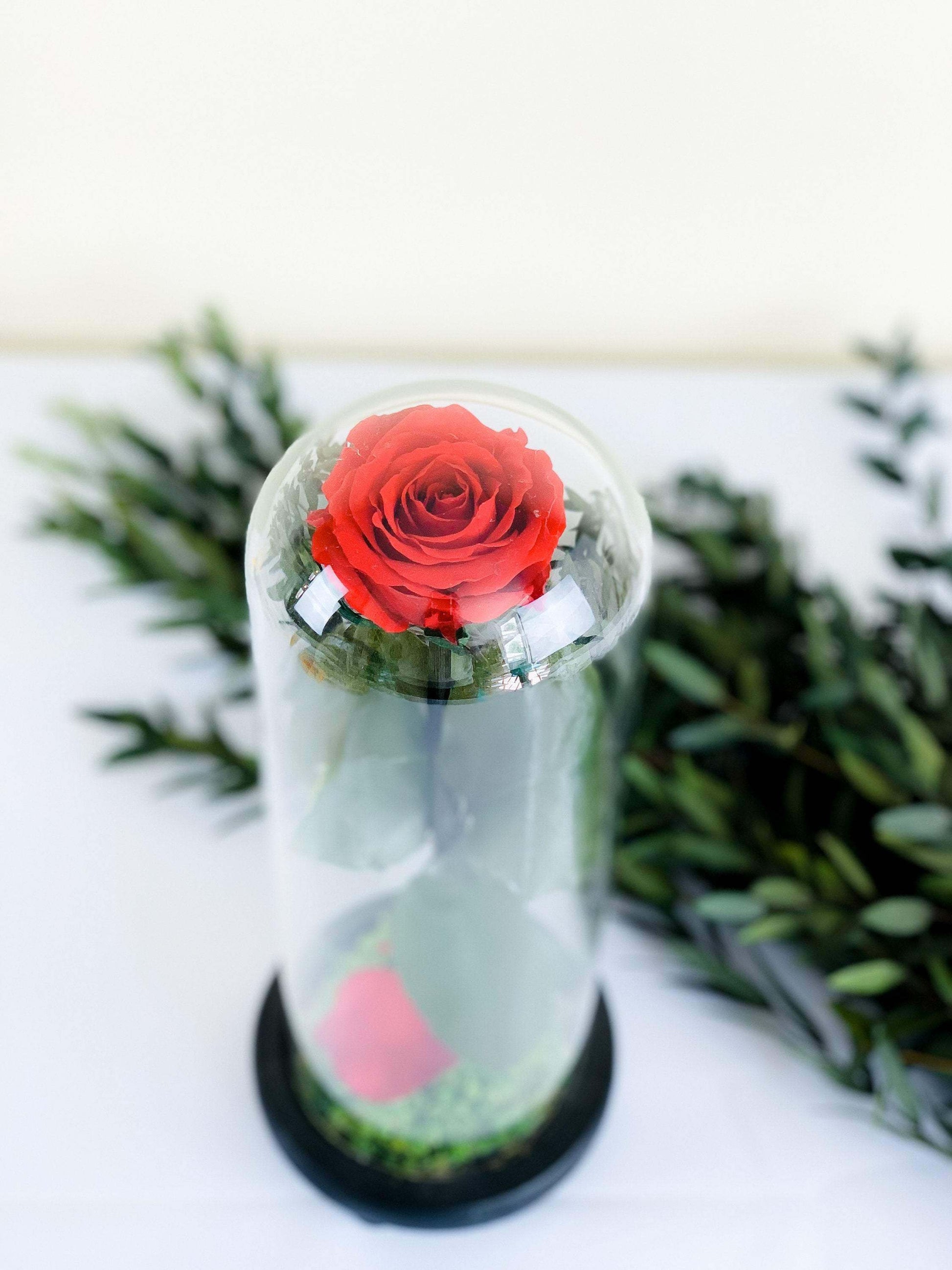 Beauty and the Beast Enchanted Rose | Preserved Rose mossartbyrishstudio