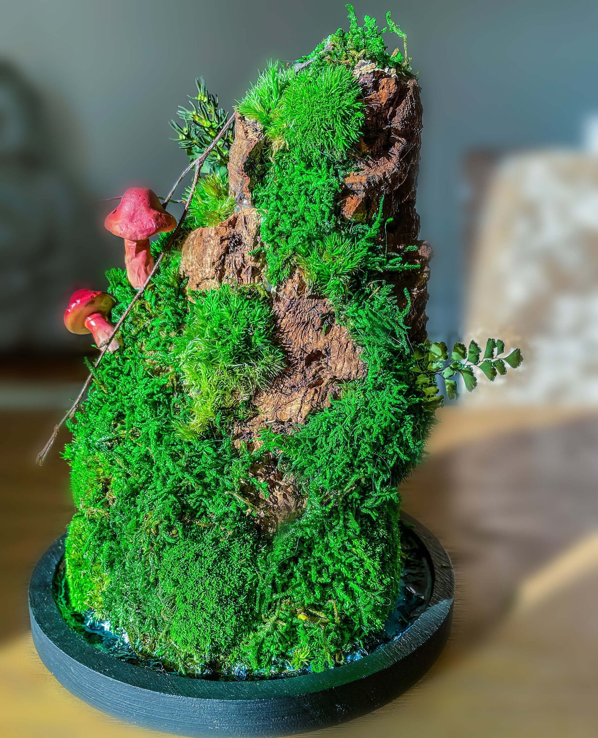 Terrarium Decor Rainforest Diorama Supplies Preserved Moss Half