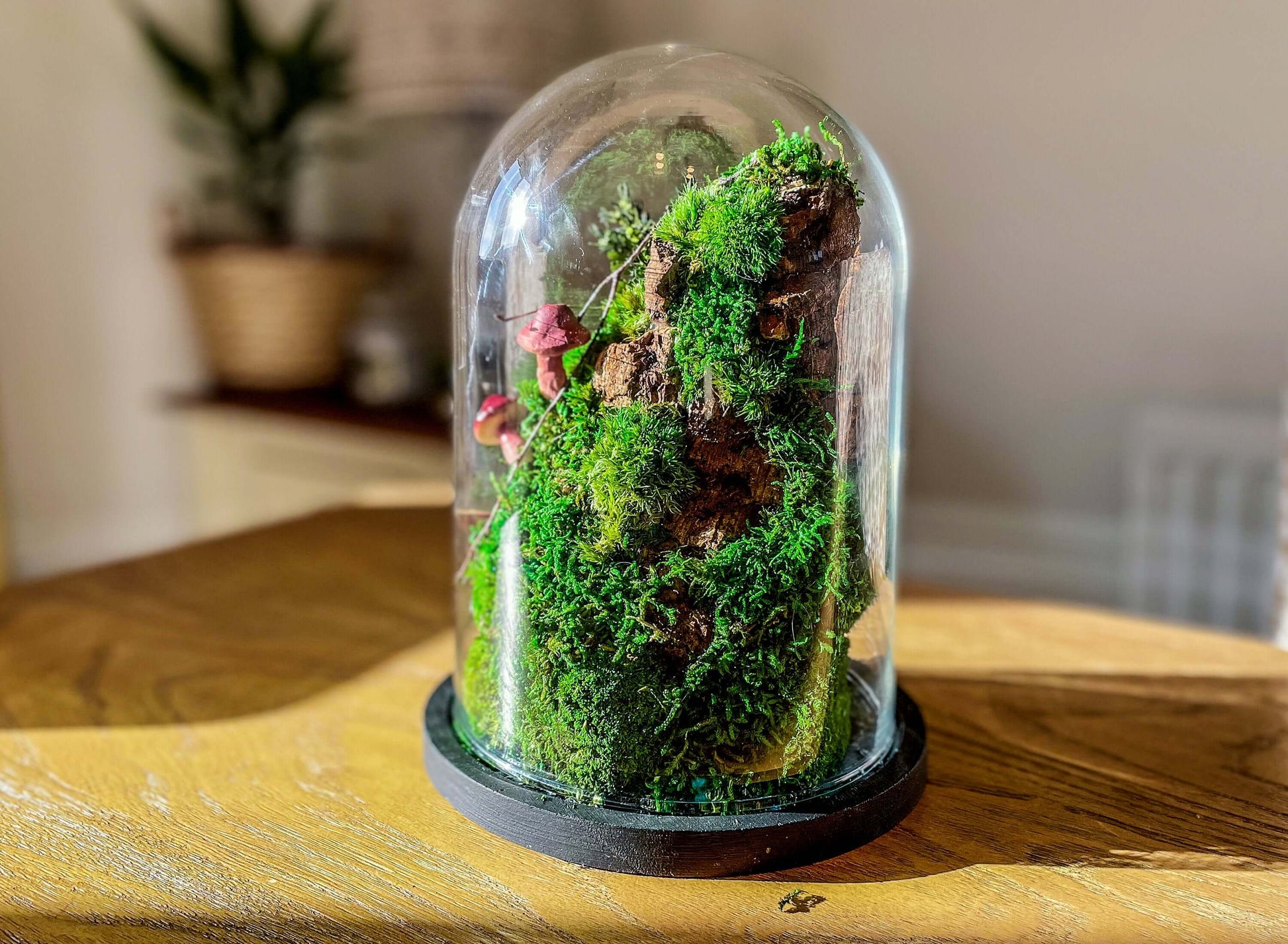 How to Make a Terrarium in a Jar - Dengarden