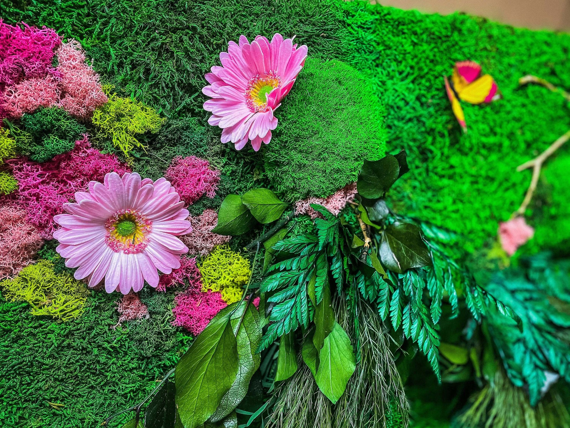 Pink Sprinkles | Moss Wall Art | Preserved Moss Art