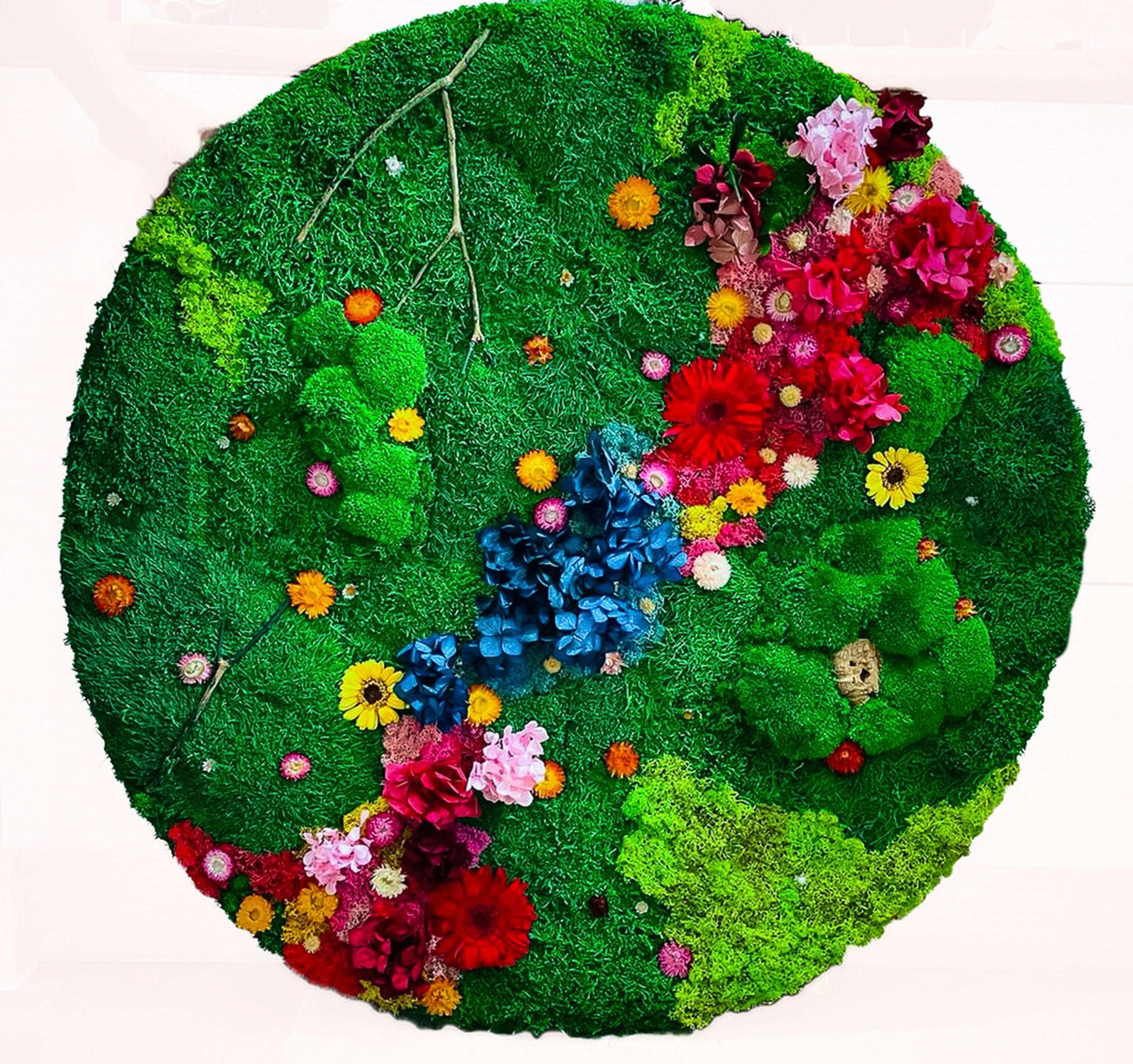 Preserved Moss wall with colorful lichen and dried flower mossartbyrishstudio