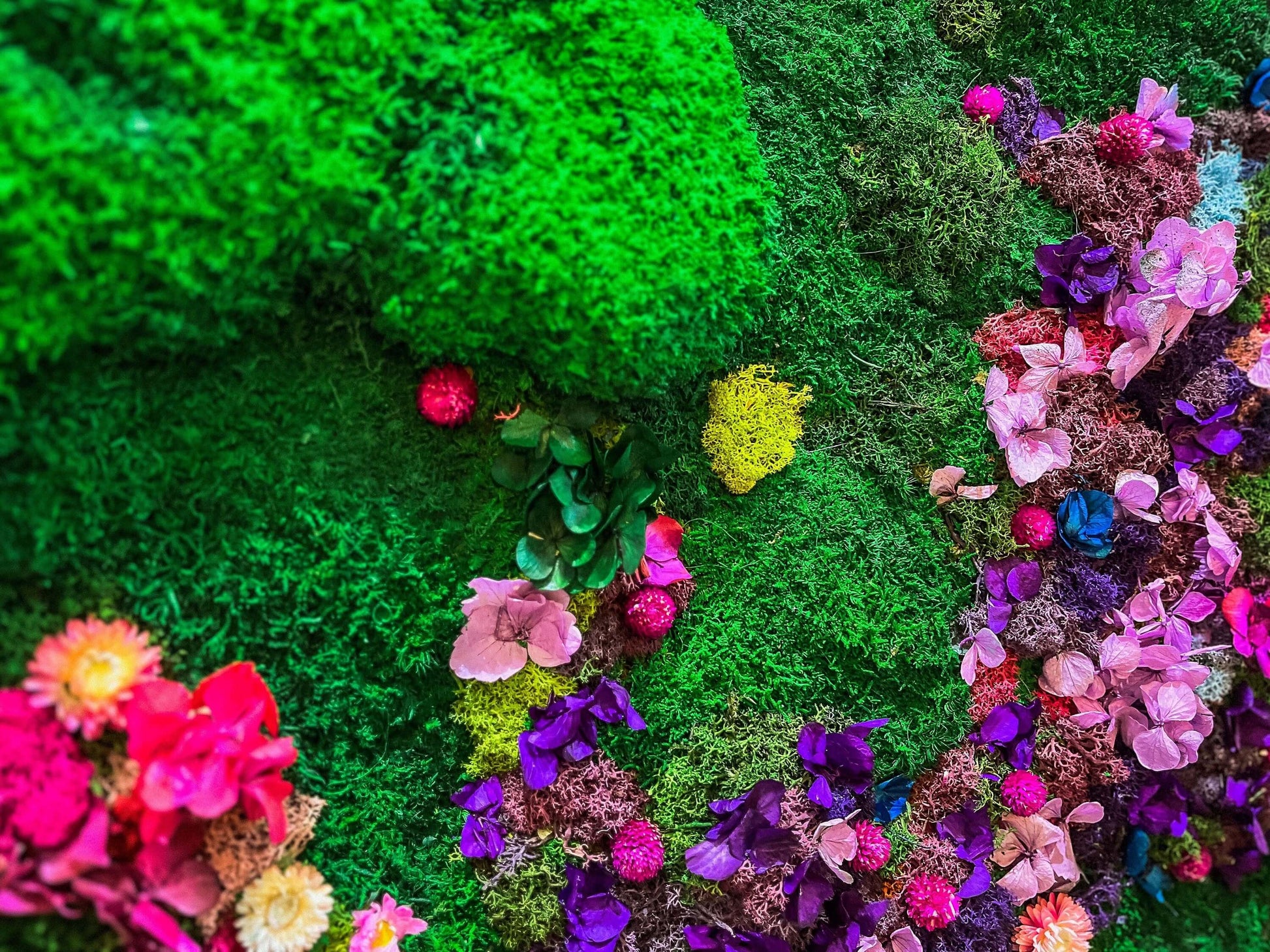 Rainbow Moss wall art with flowers